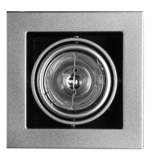 Карданный светильник Arte Lamp CARDANI MEDIO A5930PL-1SI Карданный светильник Arte Lamp CARDANI MEDIO A5930PL-1SI