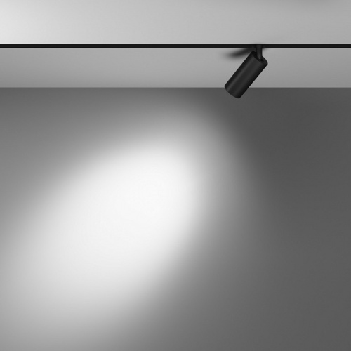 Светильник на штанге Maytoni Technical Focus LED TR032-4-5WTW-S-DD-B фото 5 Светильник на штанге Maytoni Technical Focus LED TR032-4-5WTW-S-DD-B фото 5