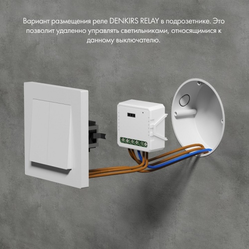Конвертер Wi-Fi для смартфонов и планшетов Denkirs Relay RL1001-SM фото 3