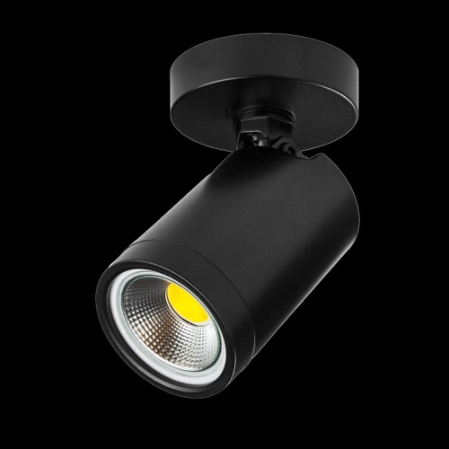 Светильник на штанге Lightstar Rullo 213407 фото 2