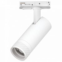 Светильник на штанге Lightstar Canno Pro C4126SS