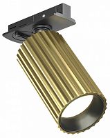 Светильник на штанге Maytoni Technical Calipso TR218-1-GU10-BS