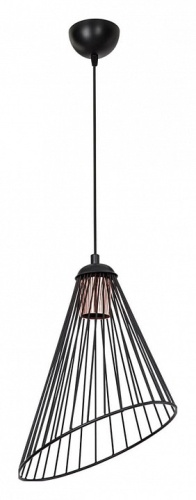Подвесной светильник TopLight Jeannine TL1608H-01BK фото 2 Подвесной светильник TopLight Jeannine TL1608H-01BK фото 2