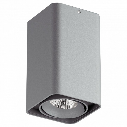 Накладной светильник Lightstar Monocco 52139 Накладной светильник Lightstar Monocco 52139