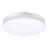 NOVOTECH 358889 STREET NT22 782 белый Светильник ландшафтный светодиодный IP54 LED 4000К 40W 220V OPAL