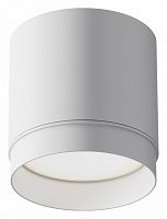 Накладной светильник Maytoni Technical Polar C088CL-GX53-W