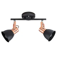 Спот Arte Lamp JOVI A1677PL-2BK