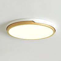 Потолочный светильник LID D32