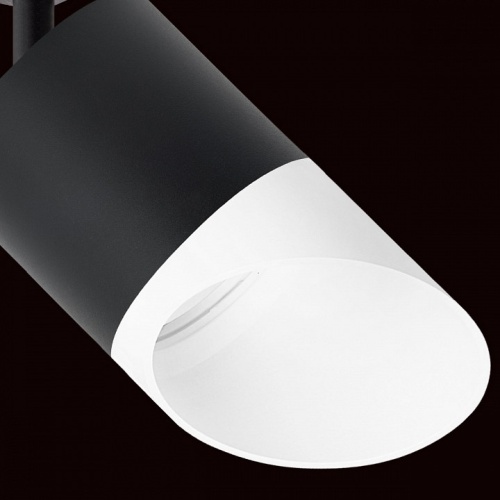 Светильник на штанге Lightstar Rullo R1T348786 фото 4