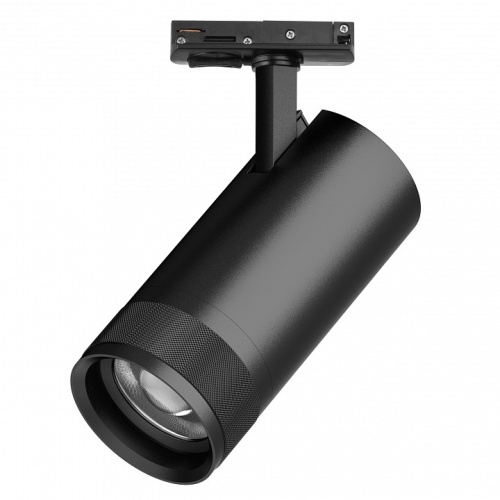 Светильник на штанге Lightstar Canno Pro C4307SS фото 2