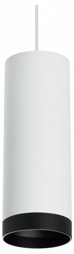 Подвесной светильник Lightstar Rullo RP4863437 Подвесной светильник Lightstar Rullo RP4863437