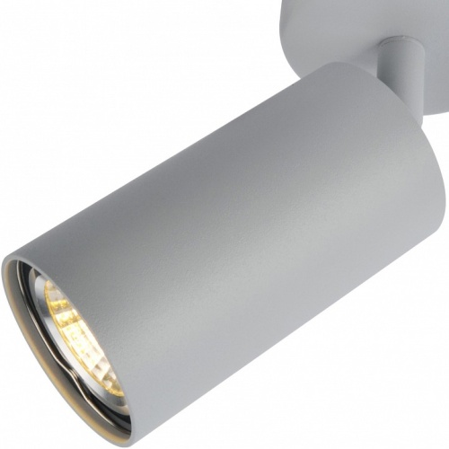 Спот Arte Lamp Aquarius A3216PL-1GY фото 2