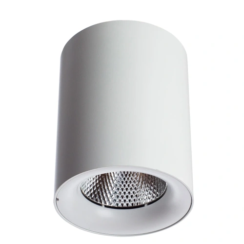 Точечный накладной светильник Arte Lamp FACILE A5118PL-1WH Точечный накладной светильник Arte Lamp FACILE A5118PL-1WH