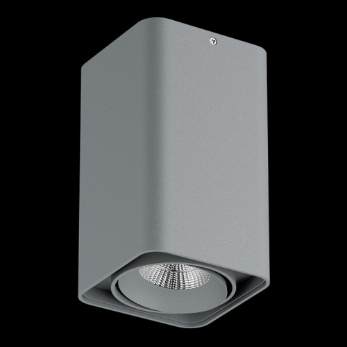 Накладной светильник Lightstar Monocco 052139-IP65 фото 2 Накладной светильник Lightstar Monocco 052139-IP65 фото 2