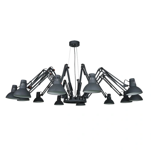 Подвесная люстра Arte Lamp RAGNO A2043SP-12BK Подвесная люстра Arte Lamp RAGNO A2043SP-12BK