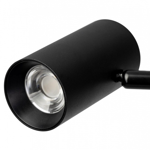 Торшер Citilux Twin CL809011N фото 7