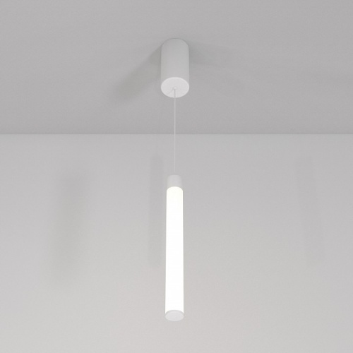 Подвесной светильник Maytoni Technical Ray P022PL-L10W фото 4