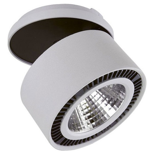 Спот Lightstar Forte Inca 213849 Спот Lightstar Forte Inca 213849