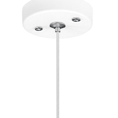 Подвесной светильник Lightstar Rullo RP648687 фото 4