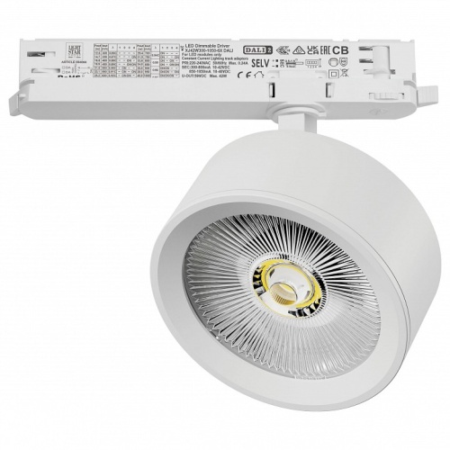 Светильник на штанге Lightstar Alta Pro A5636DALI