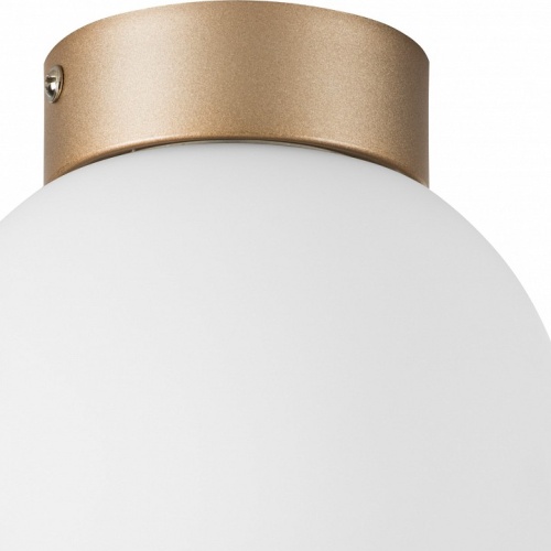 Накладной светильник Lightstar Globo 812013 фото 2 Накладной светильник Lightstar Globo 812013 фото 2