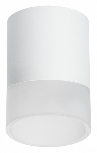 Накладной светильник Lightstar Rullo R348681 Накладной светильник Lightstar Rullo R348681