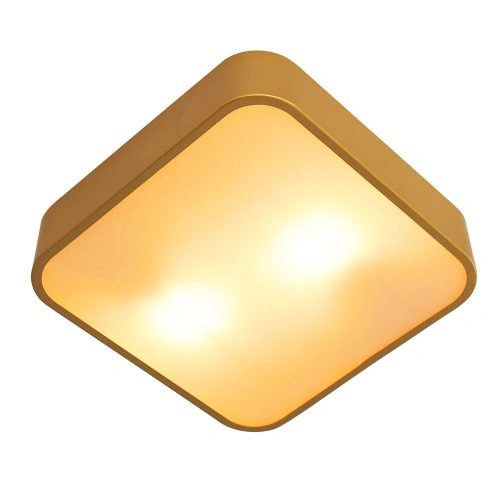 Потолочный светильник Arte Lamp COSMOPOLITAN A7210PL-2GO Потолочный светильник Arte Lamp COSMOPOLITAN A7210PL-2GO