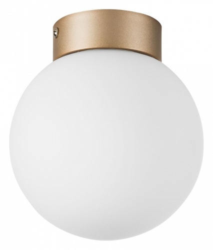 Накладной светильник Lightstar Globo 812013 Накладной светильник Lightstar Globo 812013