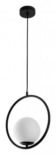 Подвесной светильник Arte Lamp MATISSE A7741SP-1BK фото 2