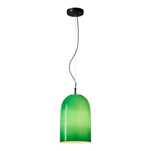SL2001.413.01 Светильник подвесной ST-Luce Черный/Зеленый E27 1*60W SL2001.413.01 Светильник подвесной ST-Luce Черный/Зеленый E27 1*60W
