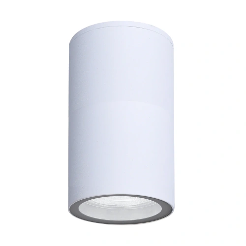 Фасадный светильник Arte Lamp MISTERO A3302PF-1WH Фасадный светильник Arte Lamp MISTERO A3302PF-1WH