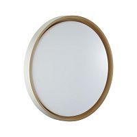 SONEX 7645/ELN COLOR SN 158 Светильник пластик/белый/оранжевый LED 76Вт 3000/4000/6000К D520 IP43 CCT KISIL