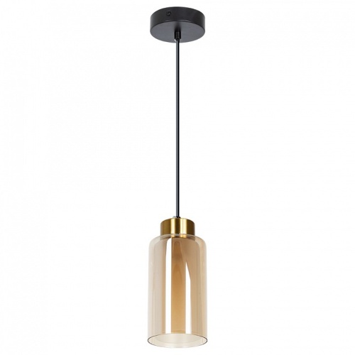 Подвесной светильник Arte Lamp LEO A7027SP-1BK фото 2 Подвесной светильник Arte Lamp LEO A7027SP-1BK фото 2