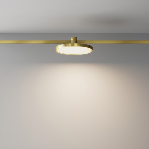 Накладной светильник Maytoni Technical Plato TR153-1-10W3K-BS фото 2