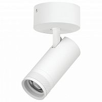 Спот Lightstar Canno Pro C4206SO