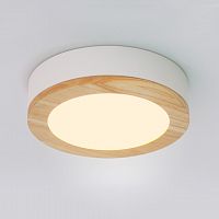 Потолочный светильник WUDDA D40 Белый