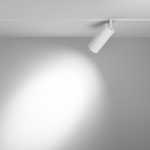 Светильник на штанге Maytoni Technical Focus LED TR032-4-20W3K-S-DS-W фото 5 Светильник на штанге Maytoni Technical Focus LED TR032-4-20W3K-S-DS-W фото 5