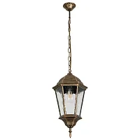 Уличный подвесной светильник Arte Lamp GENOVA A1204SO-1BN