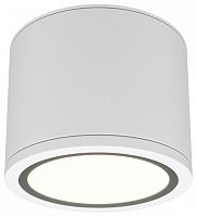 Накладной светильник Maytoni Technical Rendo C095CL-GX53-W
