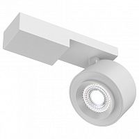 Светильник на штанге Maytoni Technical Treo C062CL-L12W4K