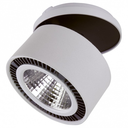 Спот Lightstar Forte Inca 214829 Спот Lightstar Forte Inca 214829