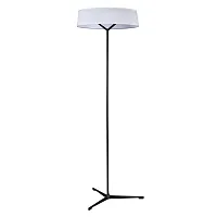 Торшер Divinare ALMA 1029/06 PN-11