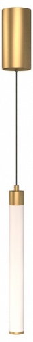 Подвесной светильник Maytoni Technical Ray P022PL-L10MG3K фото 3