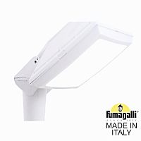 Уличный фонарь на столб  FUMAGALLI GIORGIO 4P2.000.G10.WYF1R