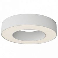 Накладной светильник Maytoni Technical Lua C093CL-24W3K-W
