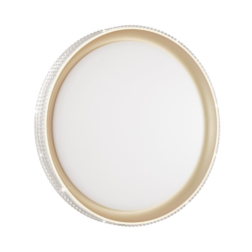 3054/EL PALE SN 183 Светильник пластик/белый/золотистый LED 72Вт 3000-6300K D490 IP43 пульт ДУ SHINY 3054/EL PALE SN 183 Светильник пластик/белый/золотистый LED 72Вт 3000-6300K D490 IP43 пульт ДУ SHINY