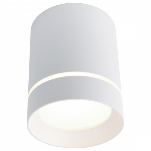Накладной светильник Arte Lamp Elle A1909PL-1WH Накладной светильник Arte Lamp Elle A1909PL-1WH