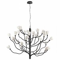 ODEON LIGHT 5090/30 MODERN ODL25 553 черный матовый/белый/фарфор Люстра G4 LED 30*5W GARDI