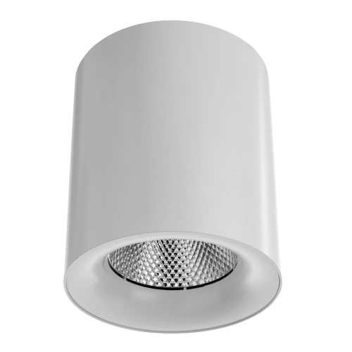 Точечный накладной светильник Arte Lamp FACILE A5130PL-1WH Точечный накладной светильник Arte Lamp FACILE A5130PL-1WH