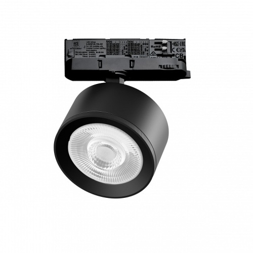 Светильник на штанге Lightstar Alta Pro A5537QT60G фото 2